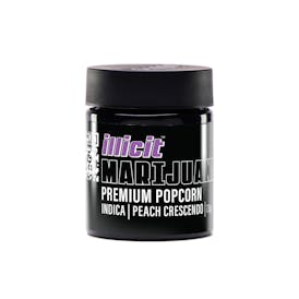 Peach Crescendo 7G Popcorn Flower