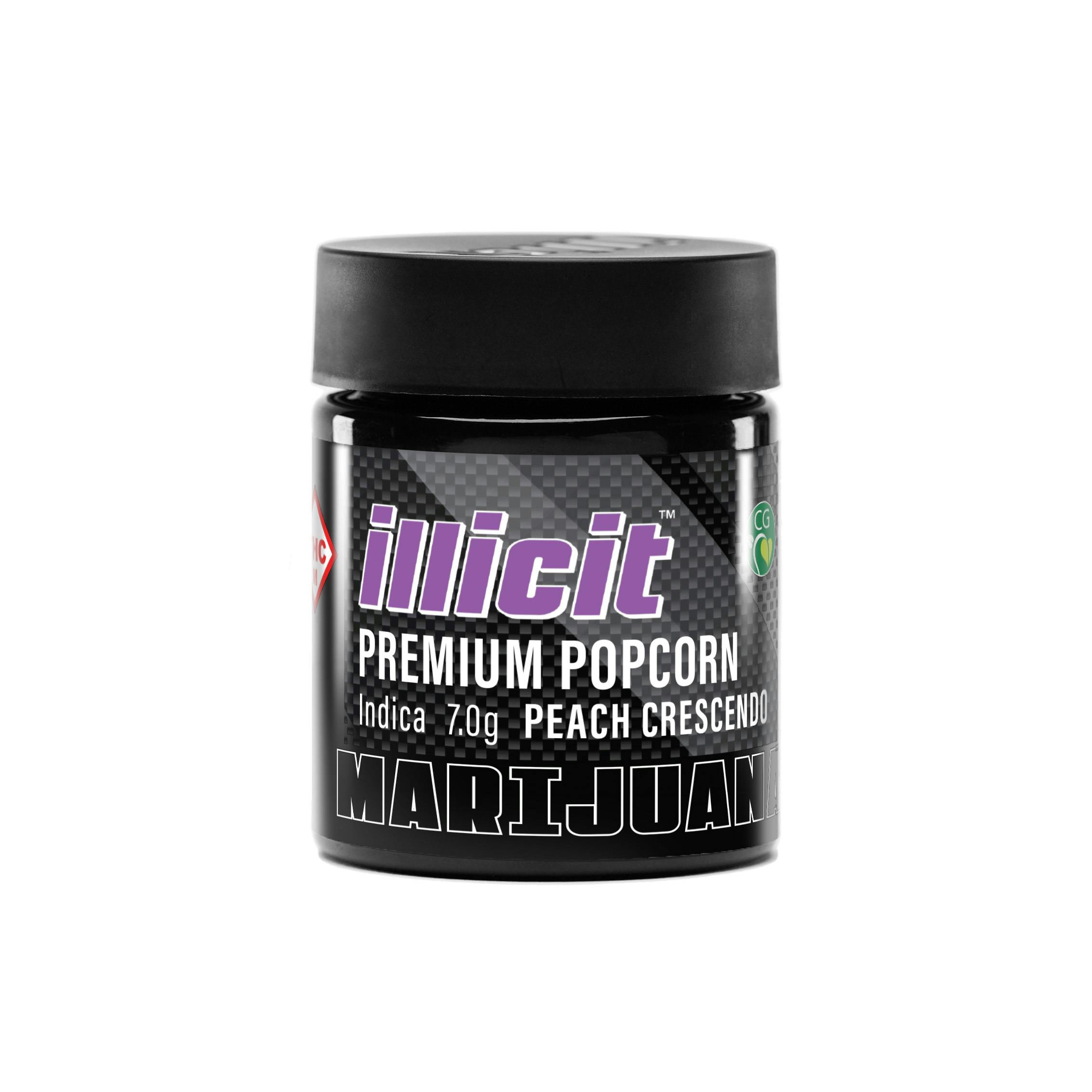 Peach Crescendo 7G Popcorn Flower