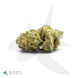 Lilac Diesel