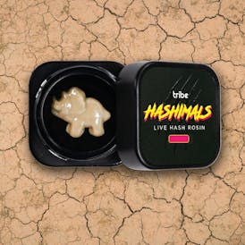 Hashimals - Triceratops - 0.5 Grams