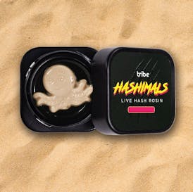 Hashimals - Octopus - 2 Grams