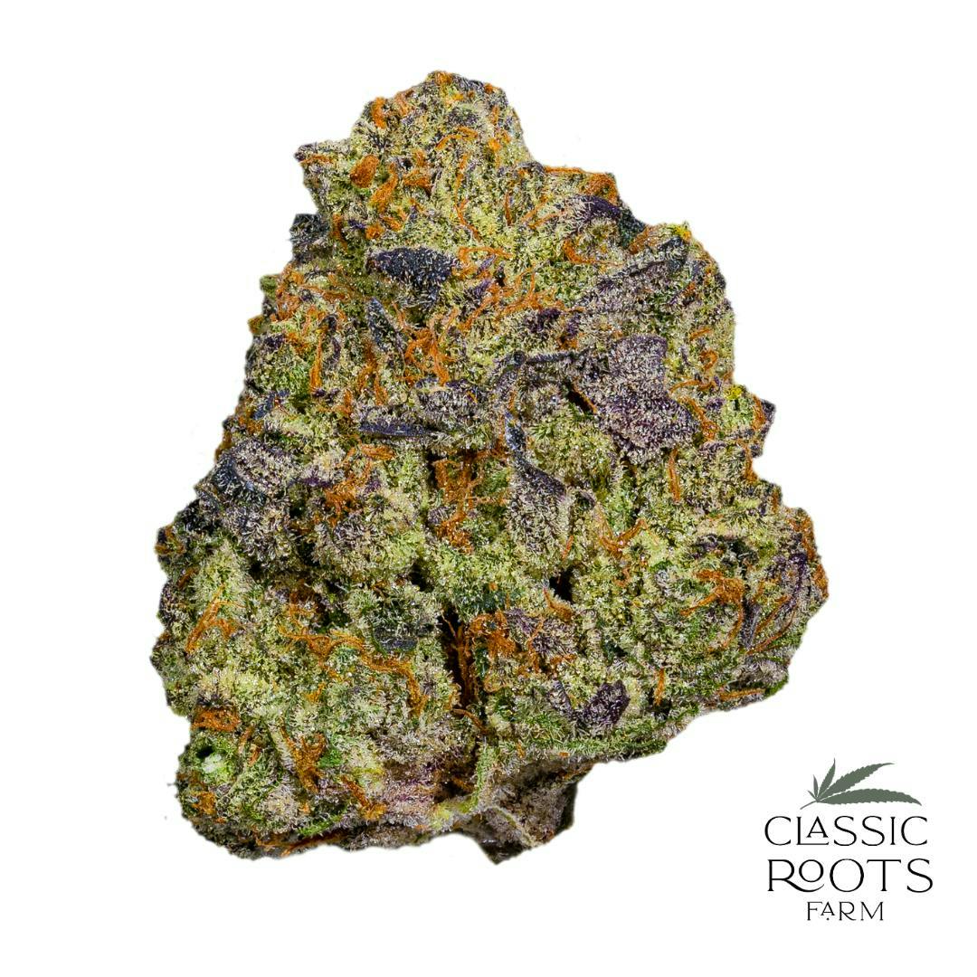 Classic Roots Farm | Grape Blow Pop | Flower