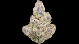 Cookies and Cream