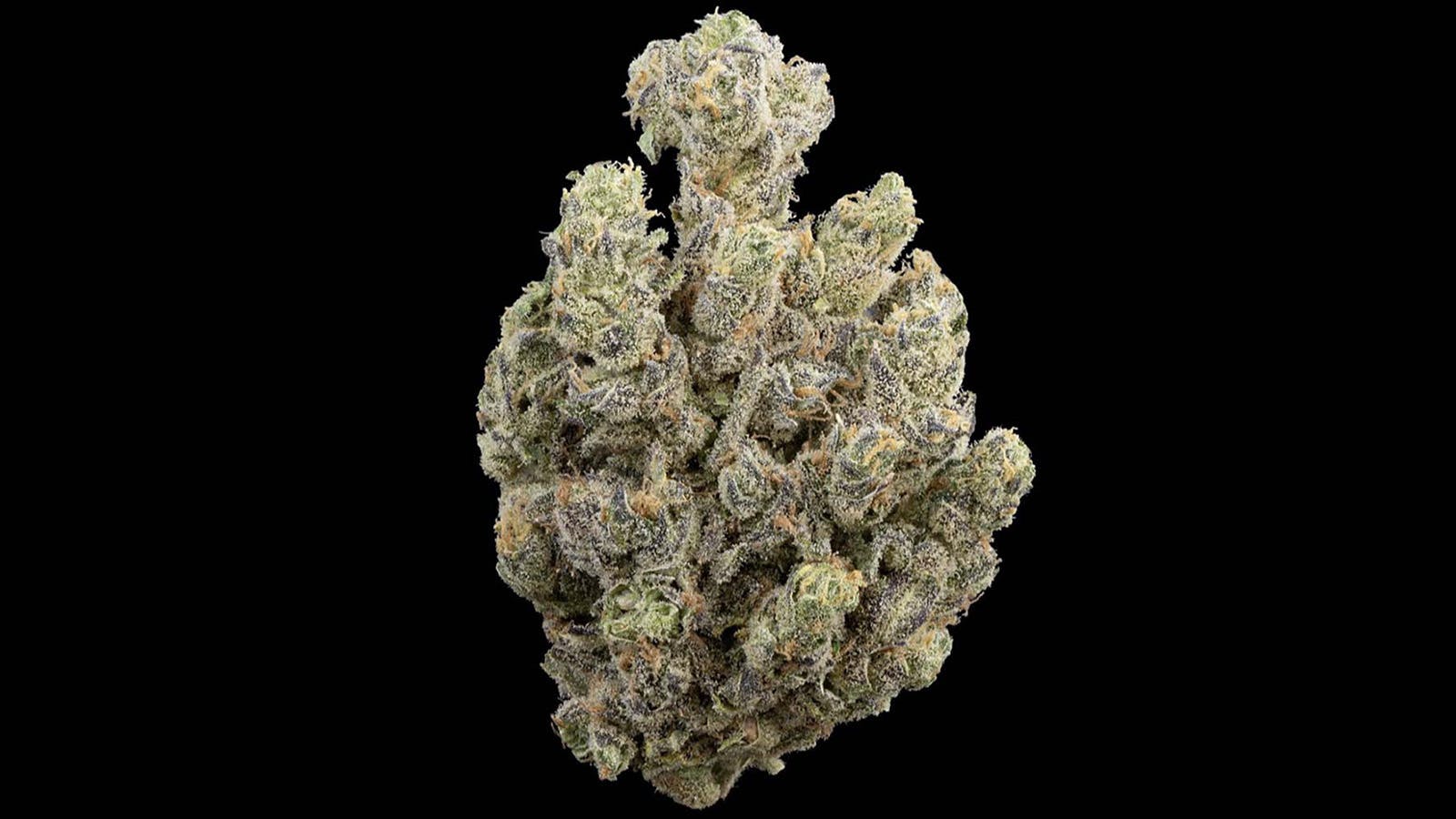 Skunk Berry
