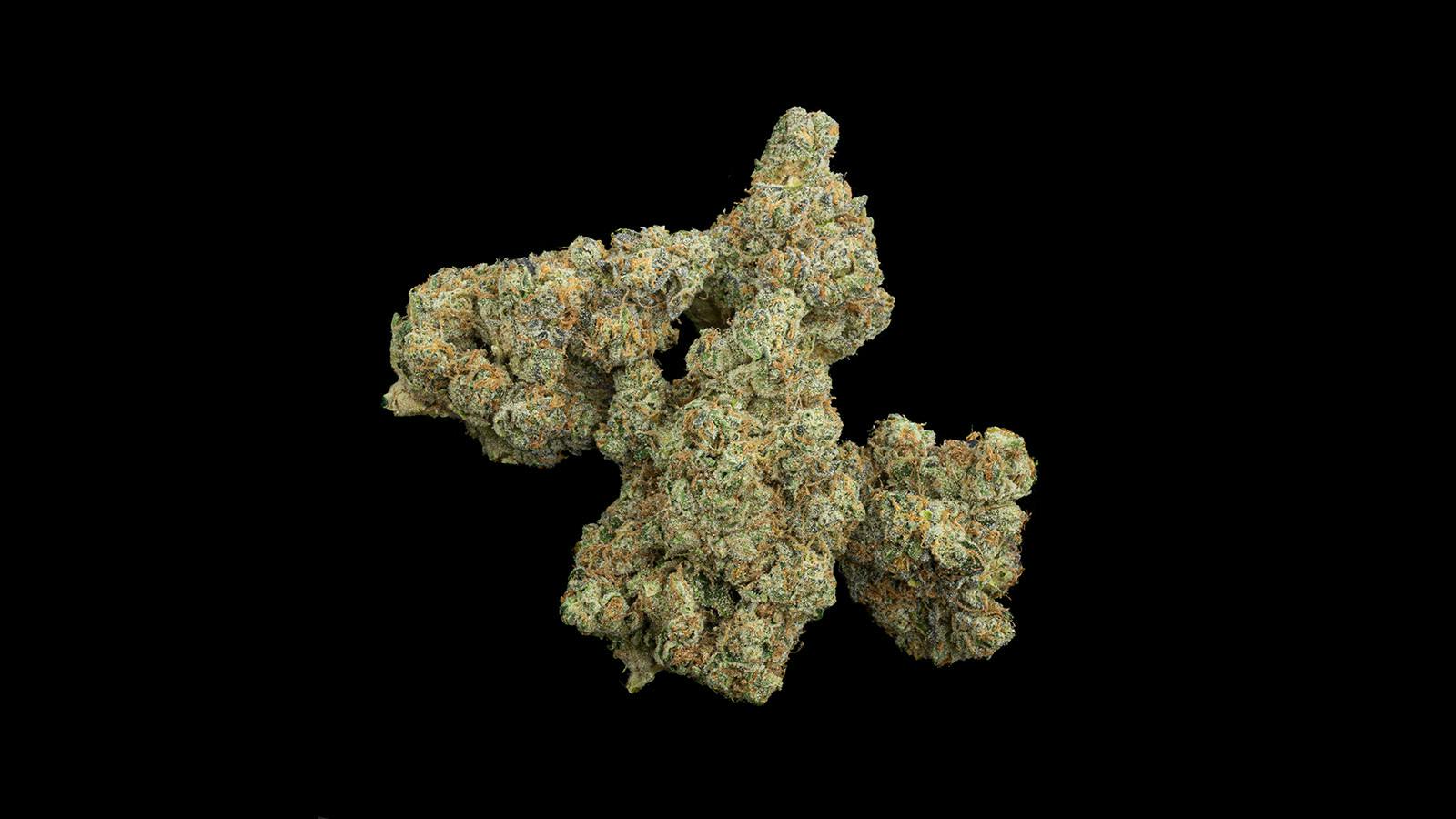 Wedding Cake by Kind Love