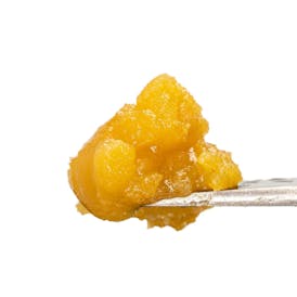 Berry Gelato Live Resin Badder