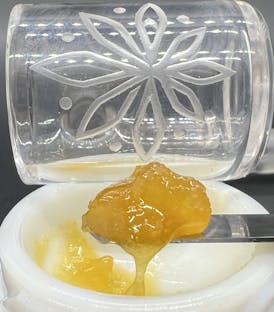 Peach Crescendo