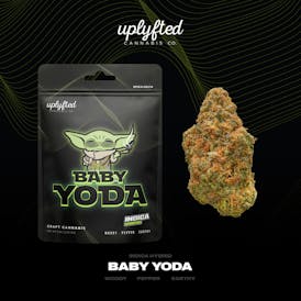 Baby Yoda 3.5g Pre-Pack