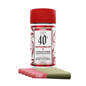 Watermelon Z - .5G 40's Infused Mini Preroll 5 Pack (Stiiizy)