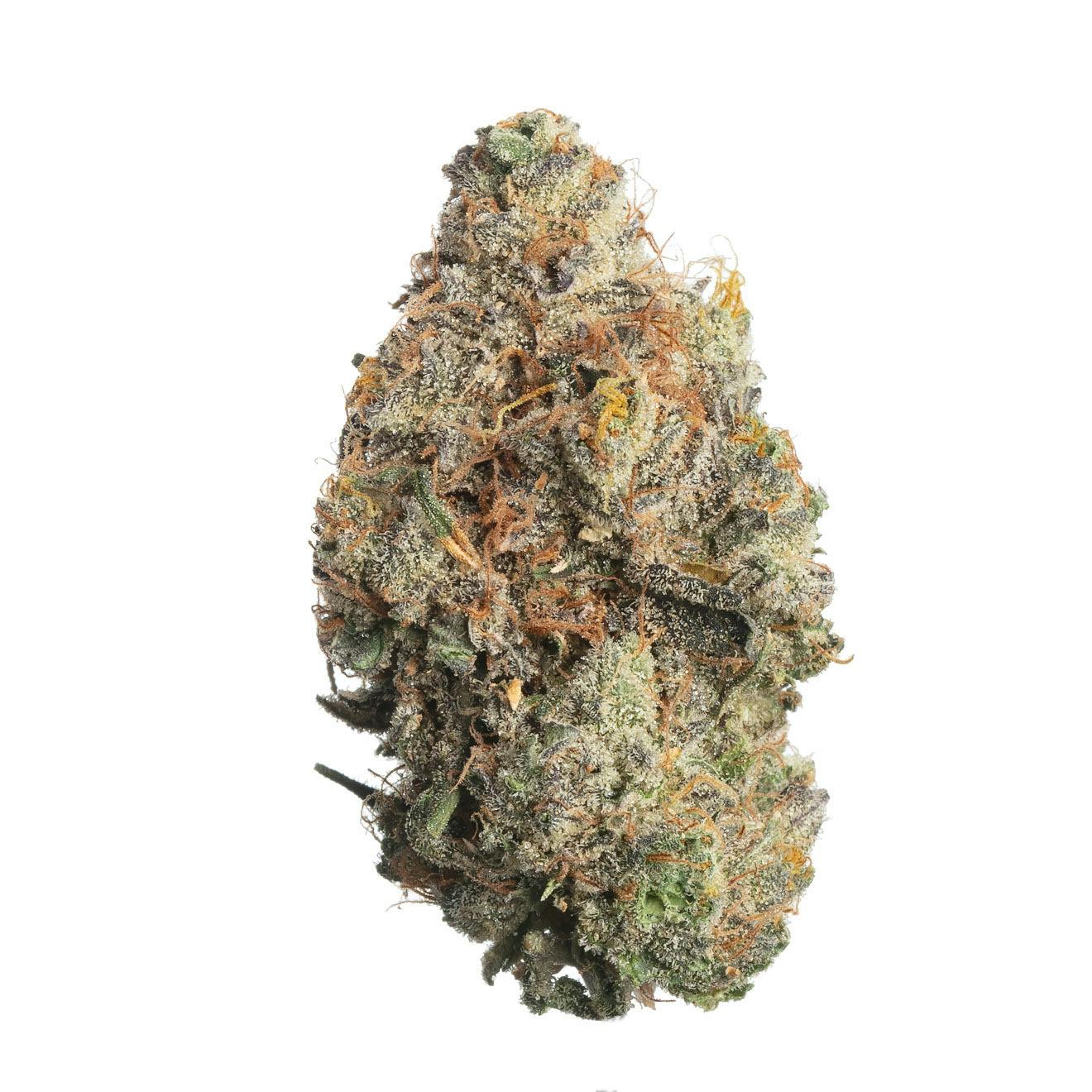 Meraki Gardens: Sunny D