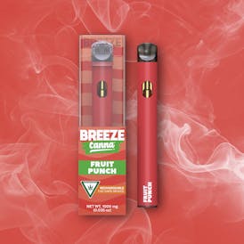 Fruit Punch – THC Disposable