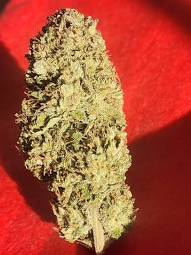 $100 Ounce of the Day - Monster Mash
