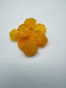 Elevated - Mango Live Rosin Gummy