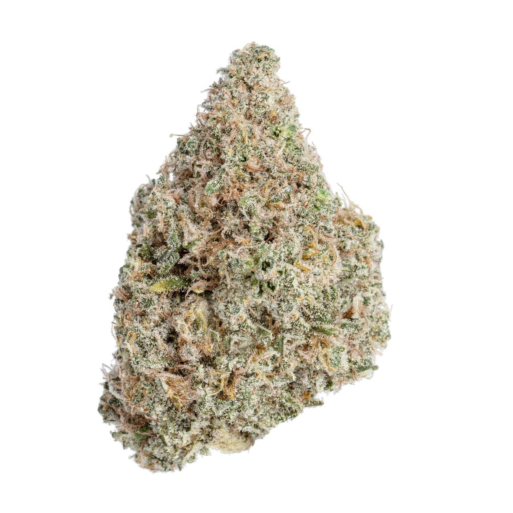 Meraki Gardens | Meraki Mango | Flower - Meraki Gardens