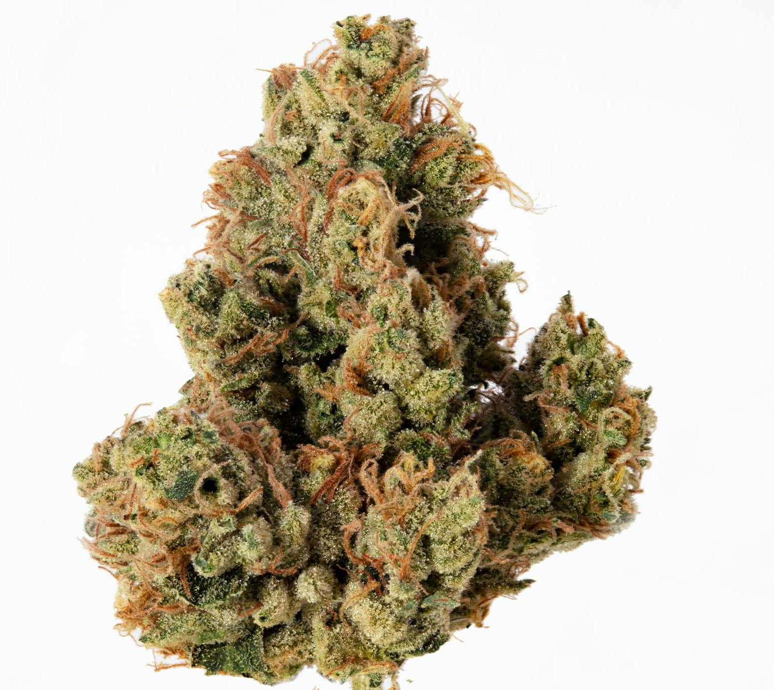 Cannassentials: Headband