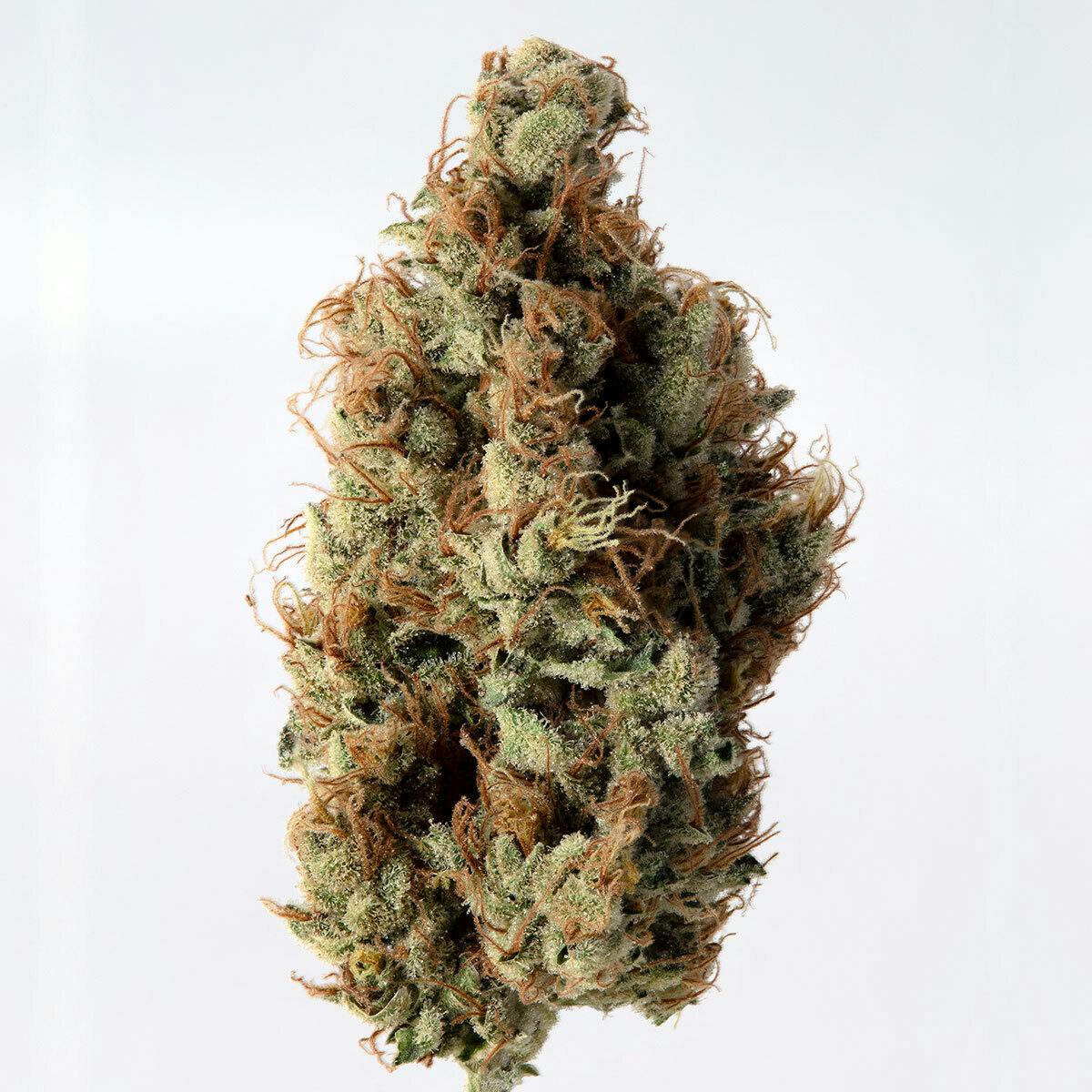 Cannassentials: Modified Macberry Moonshine