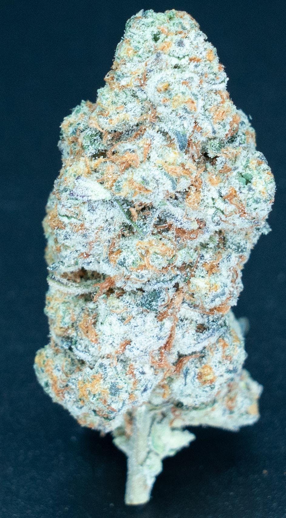 Platinum Peanut Butter Breath iion Cannabis