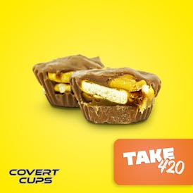 TAKE420 - 100MG Chocolate Cups - Covert Cups - REC
