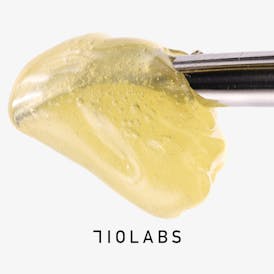 Blueberry Haze Persy Live Rosin | 1g
