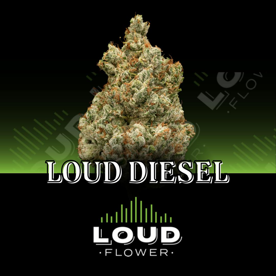 Loud Diesel by MI Loud Flower Farms