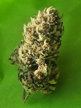 $100 Ounce of the Day - Chemdog Special #4
