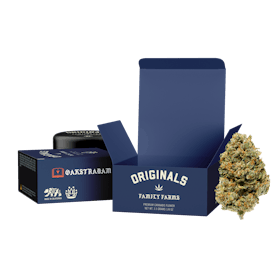 Originals | Oakstradam OG - 3.5g Flower