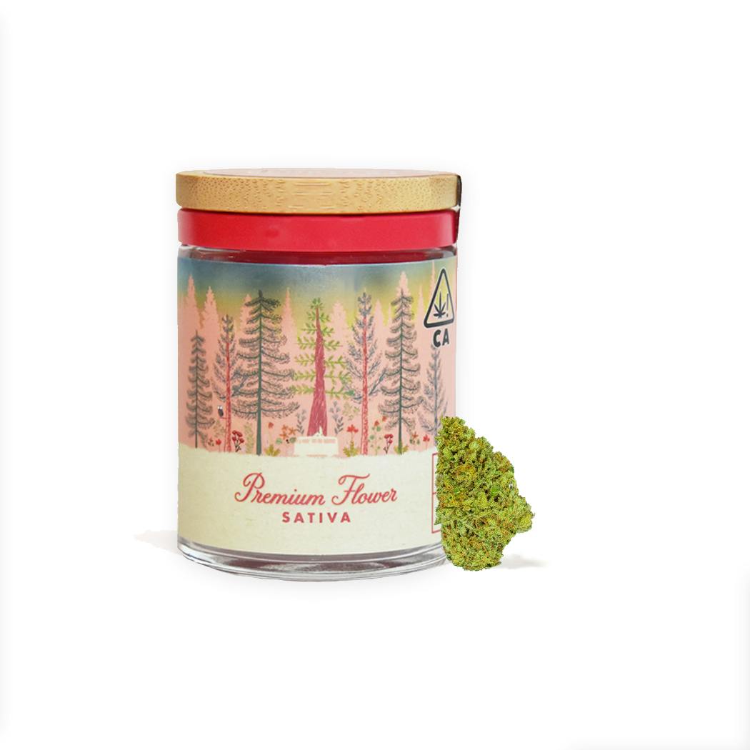 Humboldt Dream