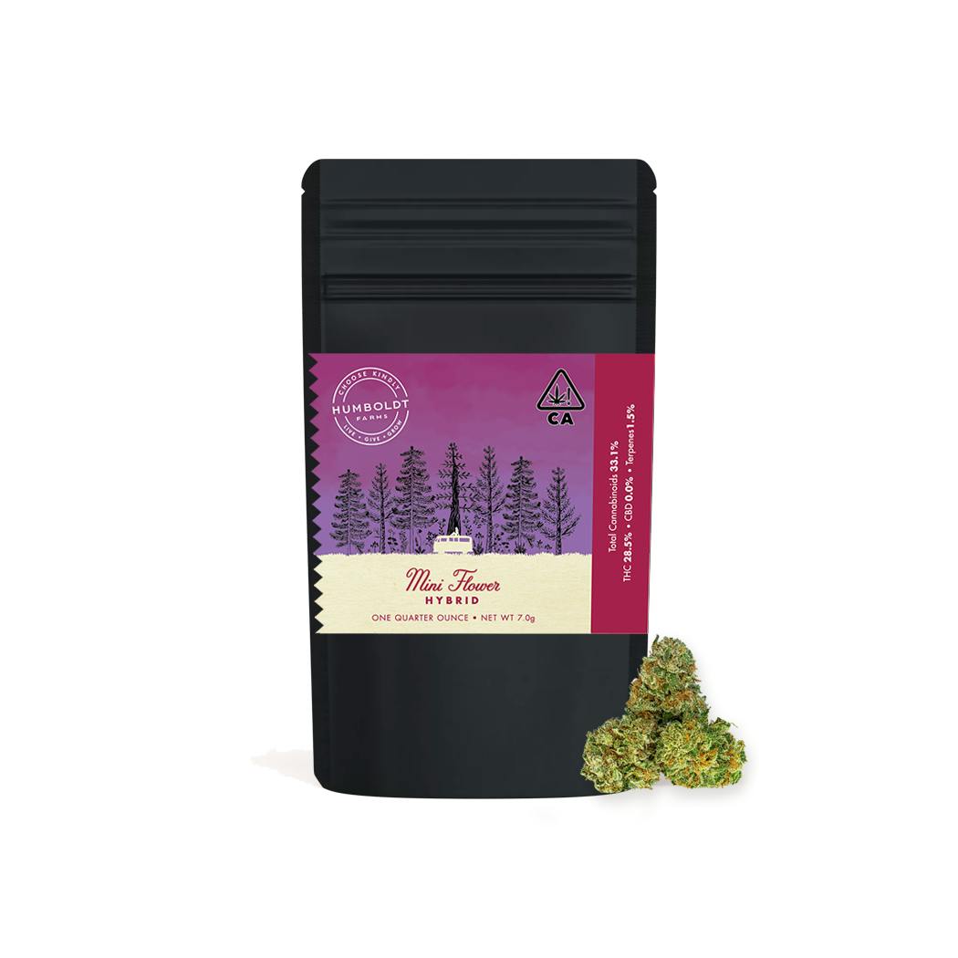 Minis Hybrid Quarter Bag