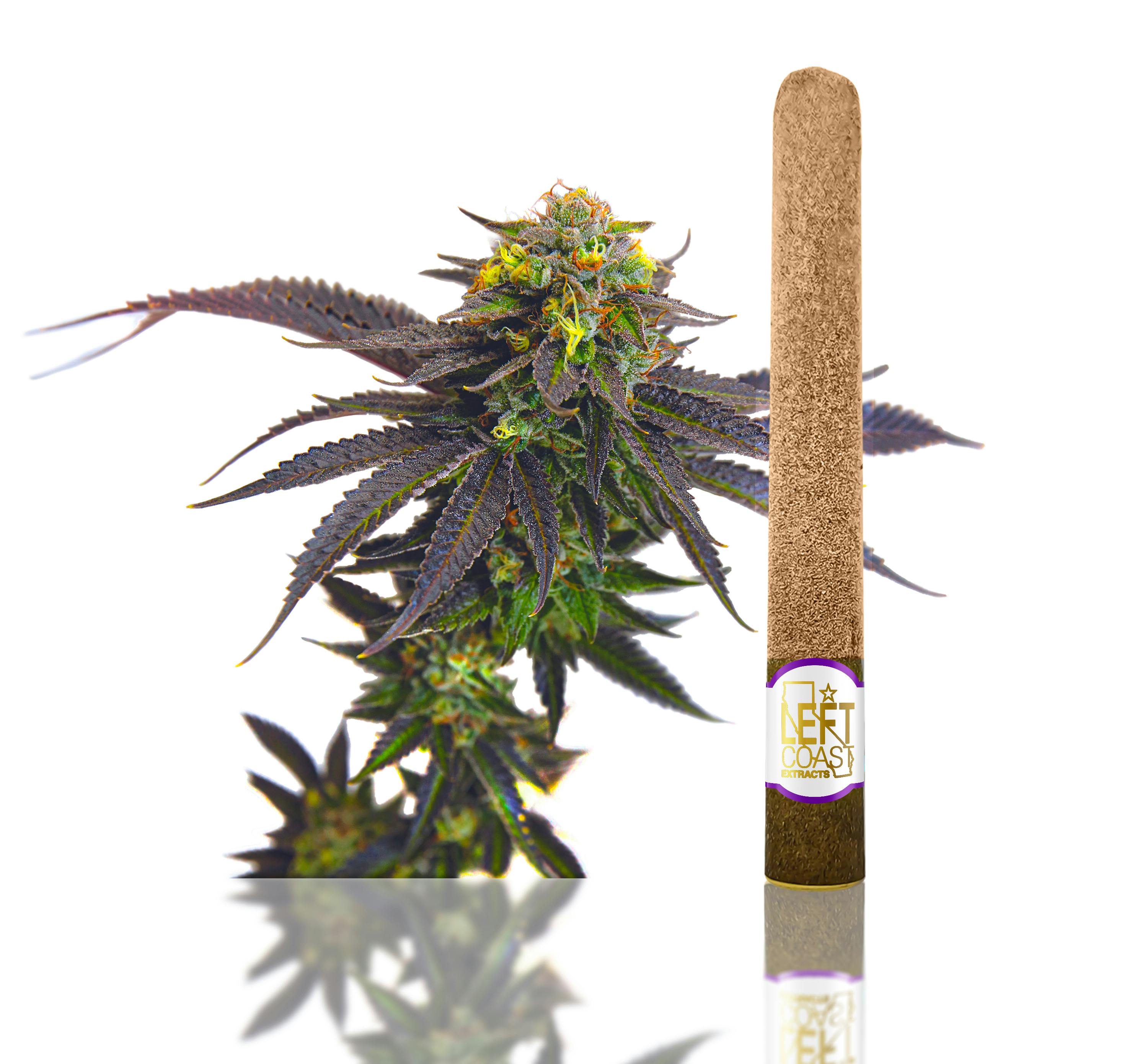 LEFT COAST — Grape Cookies