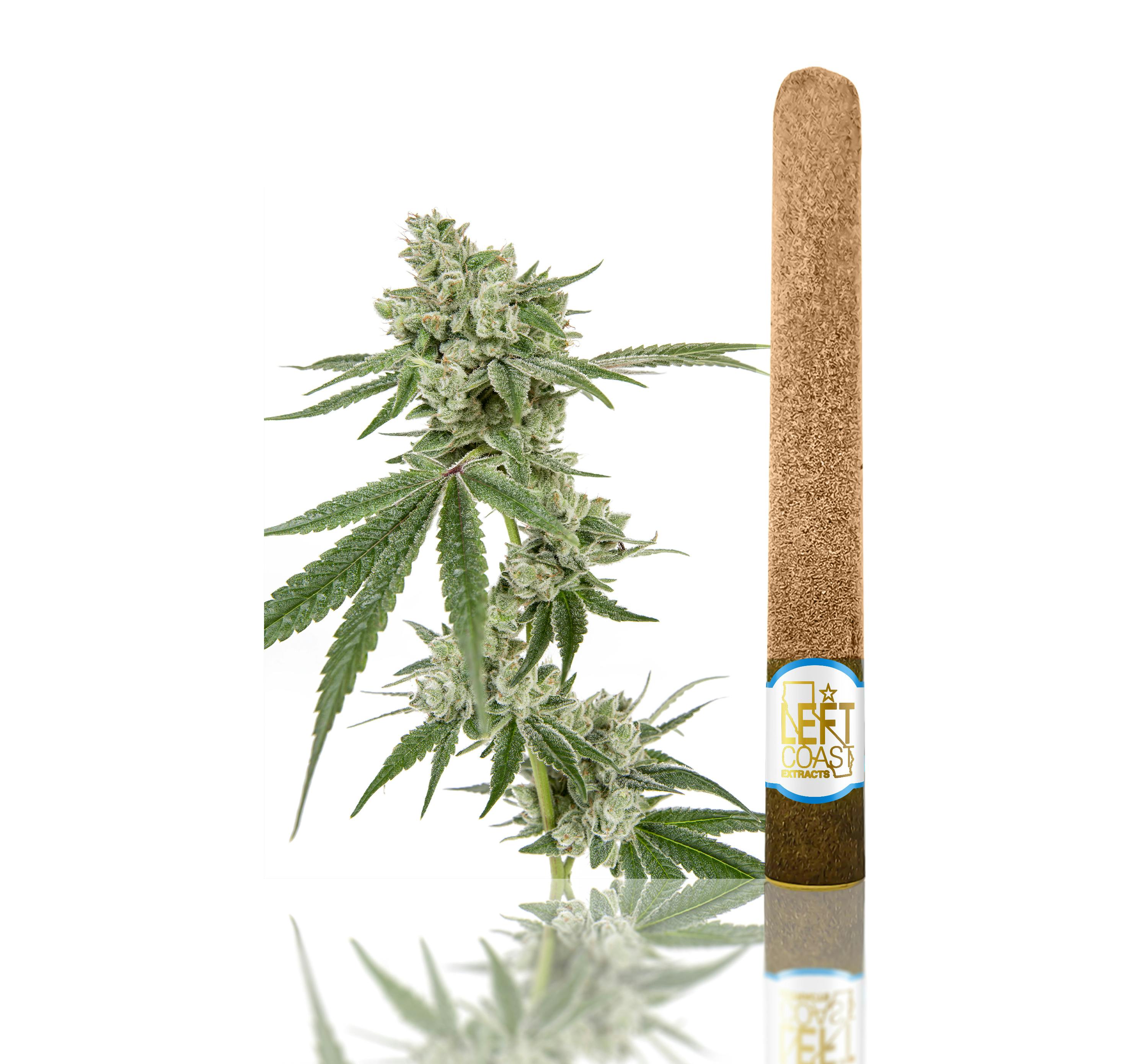 LEFT COAST — Maui Wowie