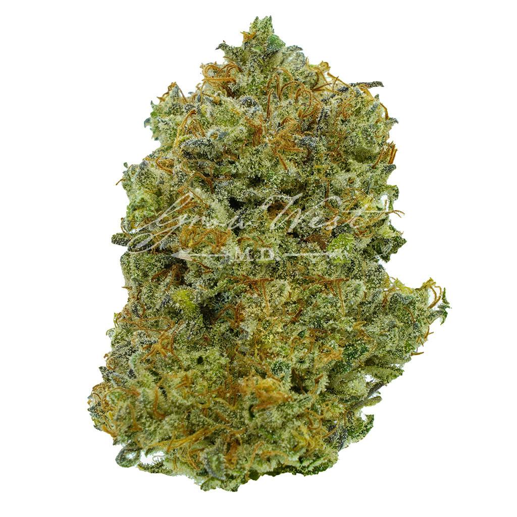Intergalactic | Premium | Hand-Trimmed Flower by Grow West Cannabis Company
