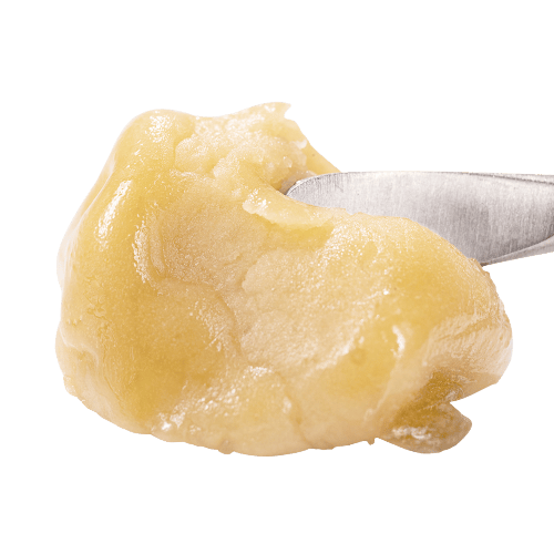 Vanilla Cake Hybrid Live Rosin