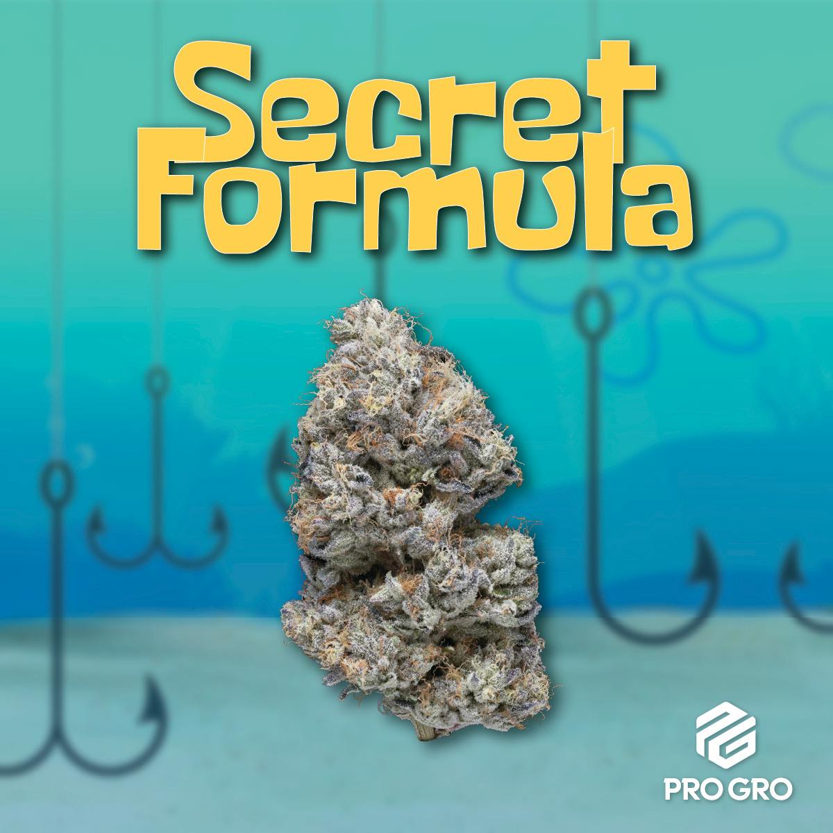 Pro Gro | Secret Formula | Big Buds by Pro Gro