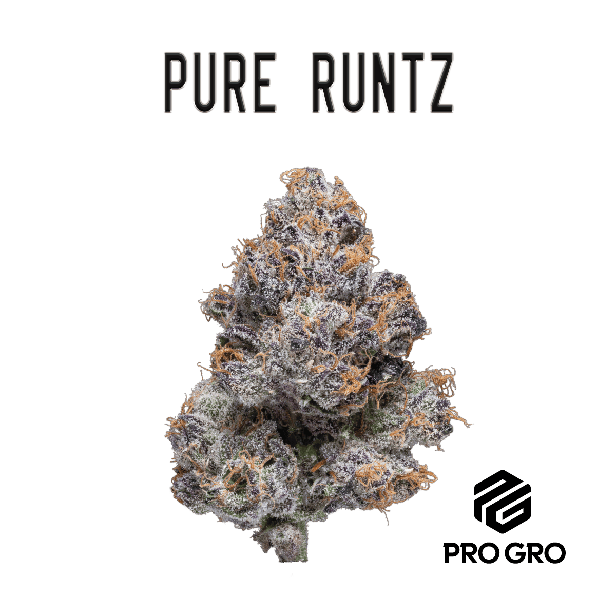 Pure Runtz