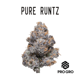 Pure Runtz