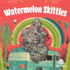 Watermelon Zkittlez