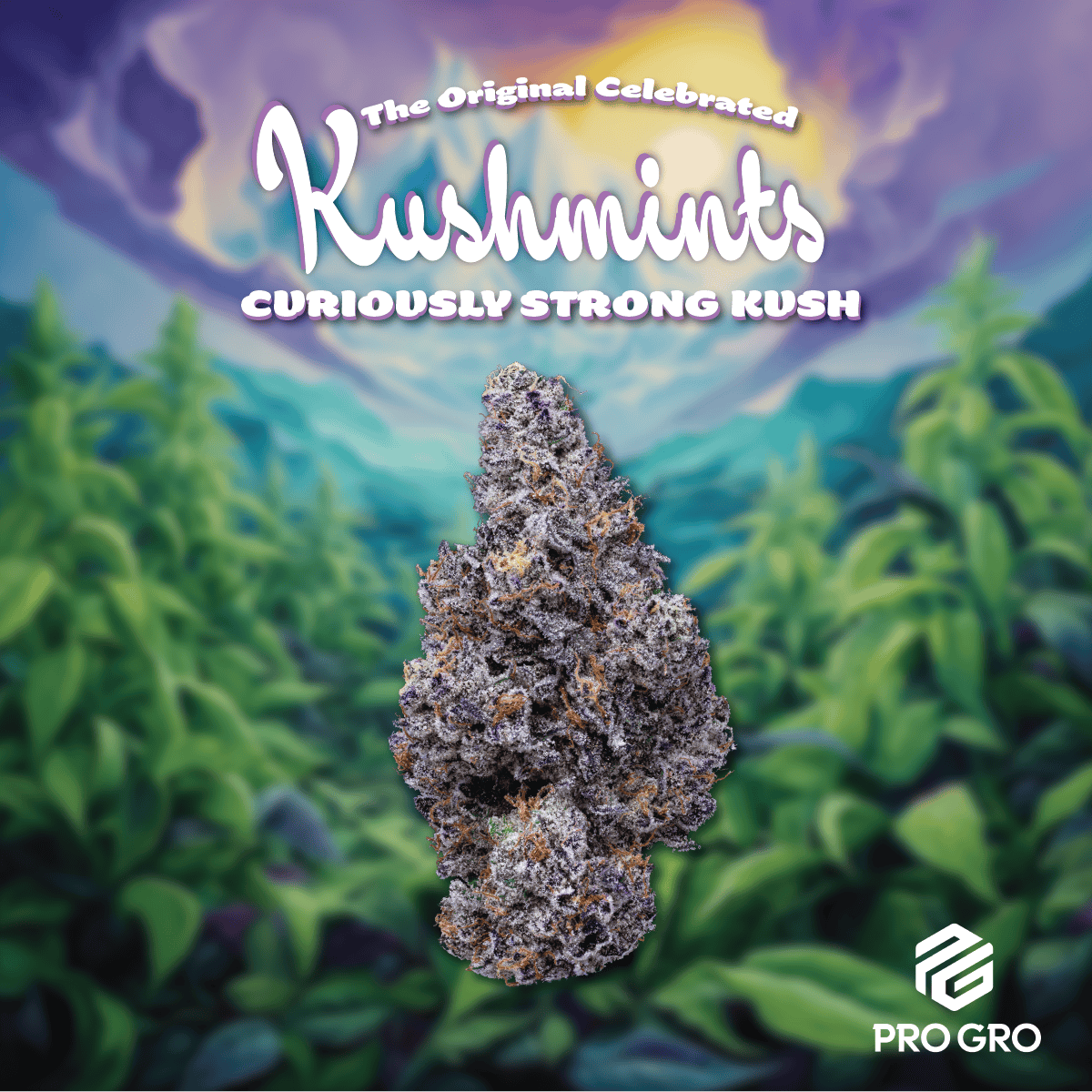 Kush Mints by Pro Gro