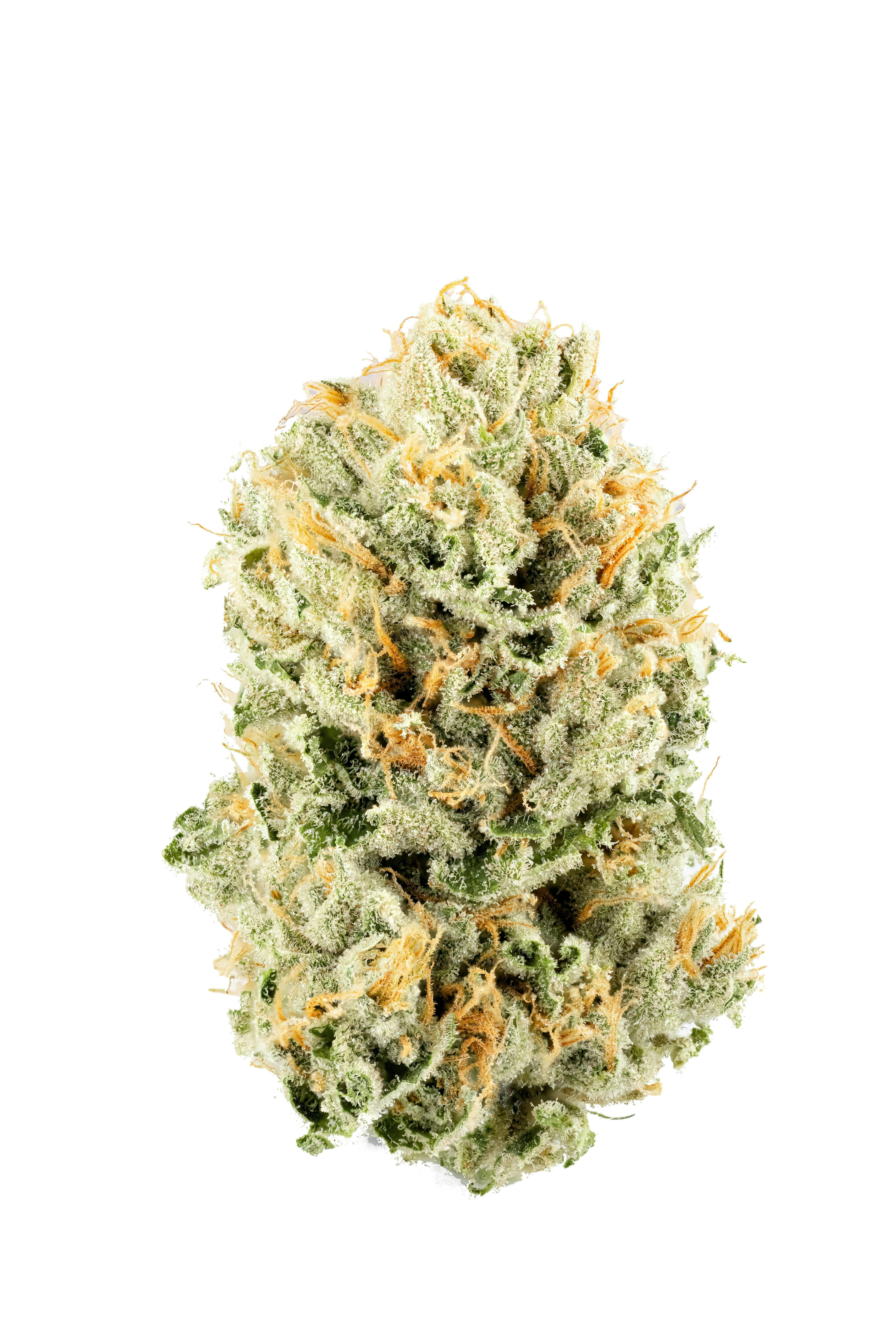 Smyth | 3.5g Flower - Honolulu Strange by Smyth Cannabis Co.
