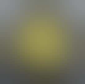 Concentrate - Cured Sugar - Thug Mintz