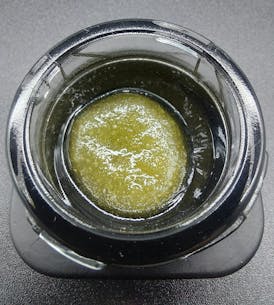 Concentrate - Cured Badder - Shire 2.0