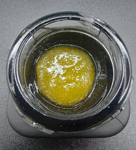 Concentrate - Cured Sugar - Lip Smacker