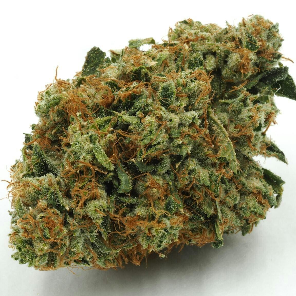 Inadaze — Louis XIII