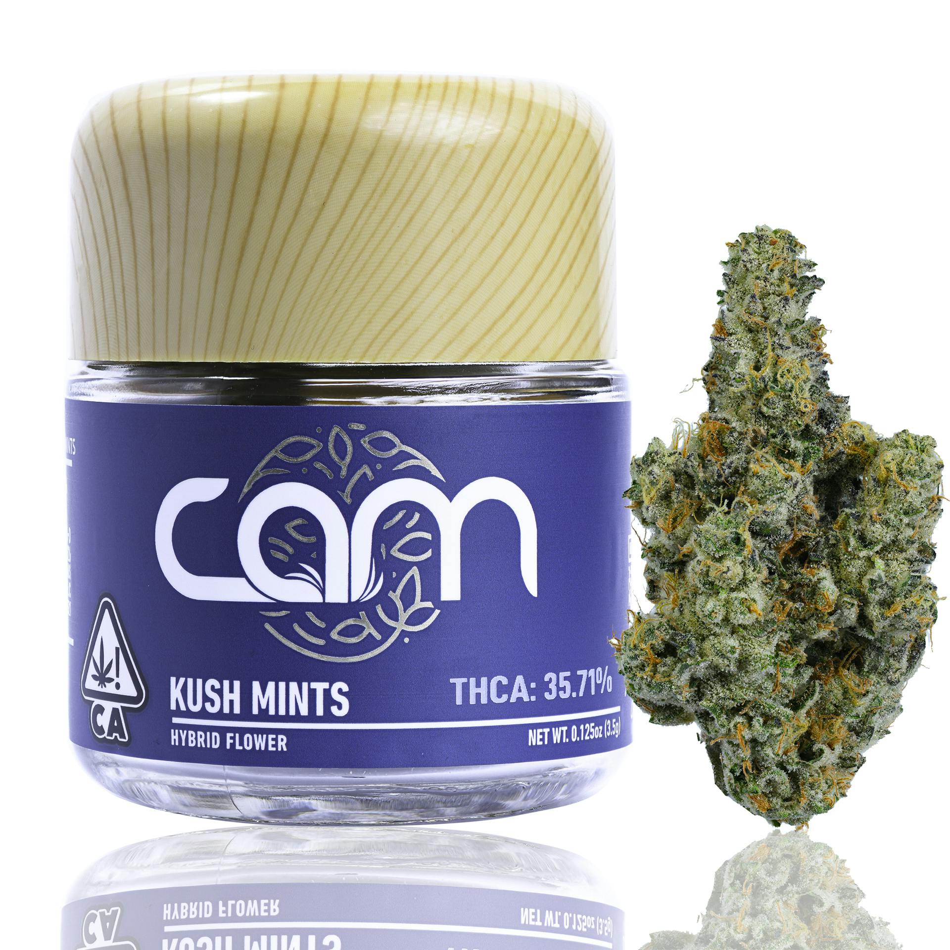 CAM — Kush Mints