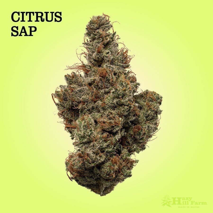 Citrus Sap