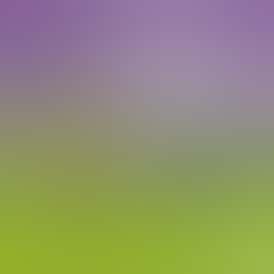 Local Grove Prepackaged Flower | First Class Funk | 3.5G