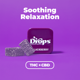 Drops – Blackberry 2-Piece (2:1 CBD:THC)