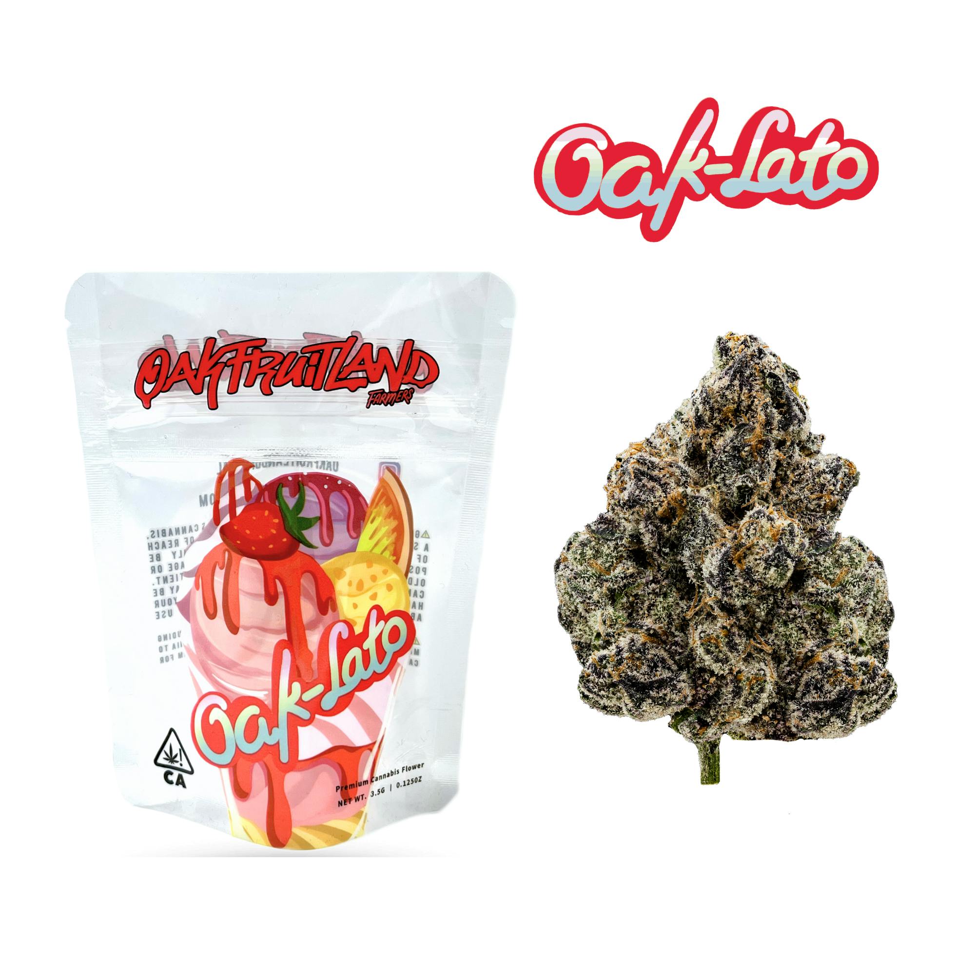 Lato Premium Flower Core Series