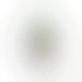 Mitten Extracts - Apple Fritter 1g Vape Cartridge (Hybrid)