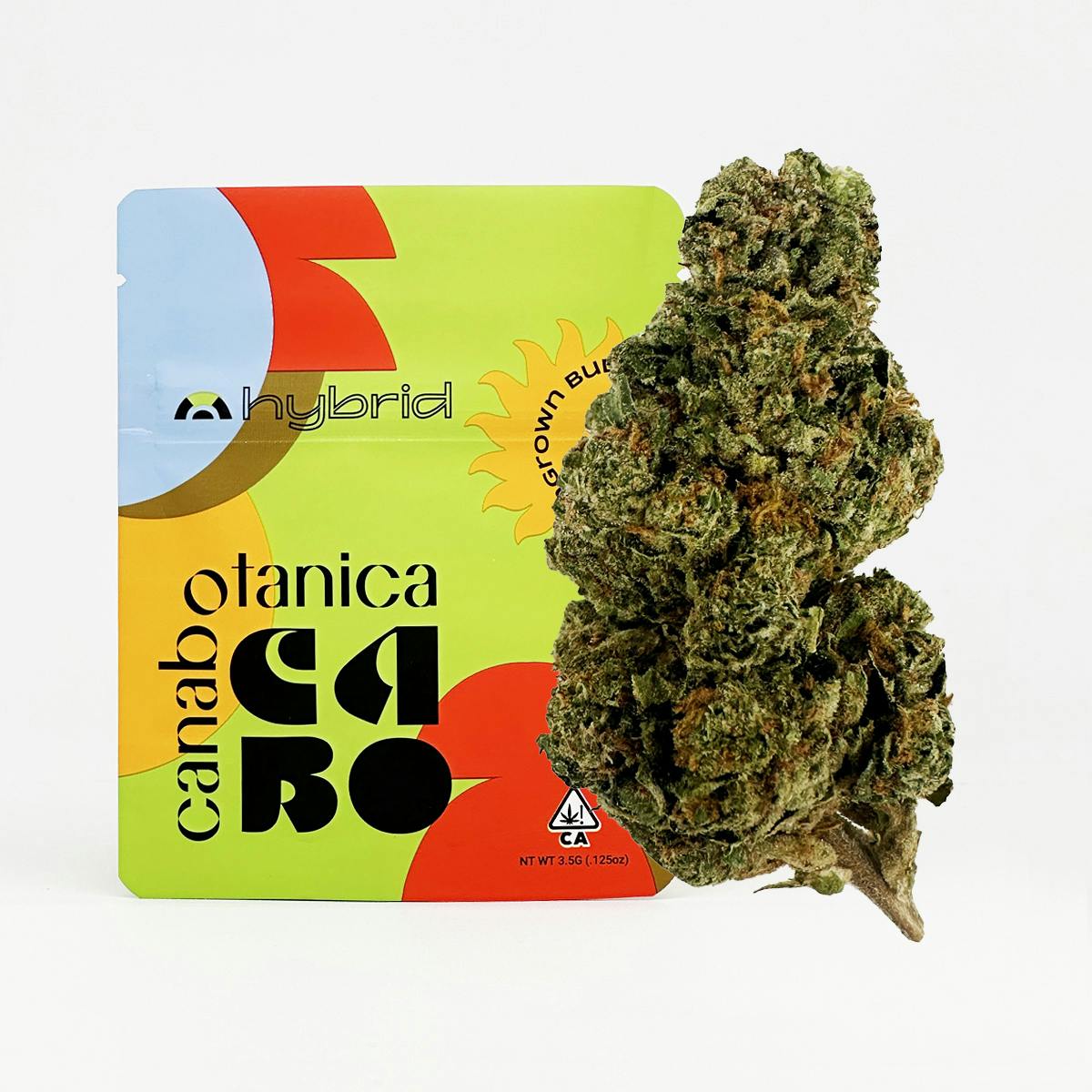 Gelato Sungrown Flower