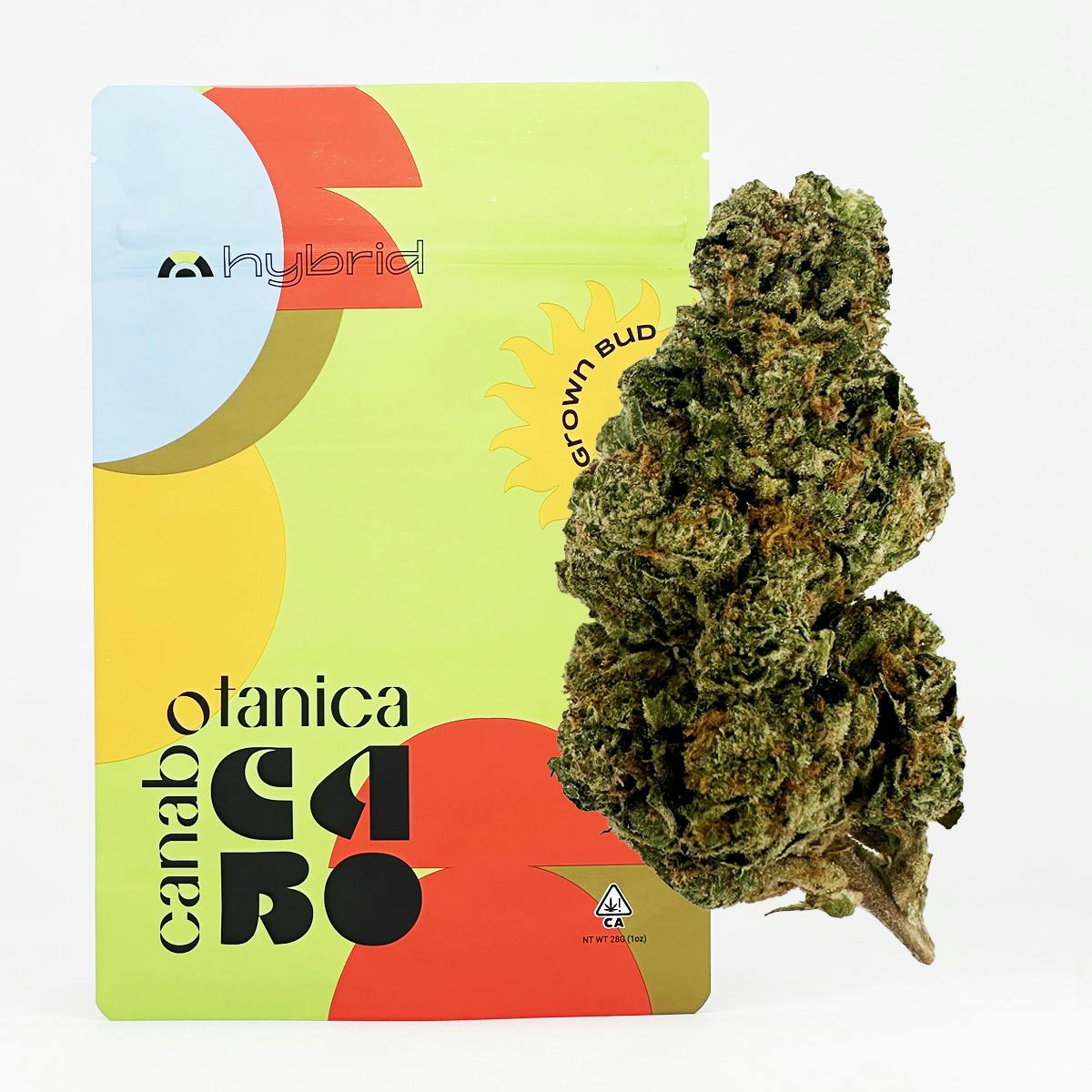 Canabotanica — Gelato 41